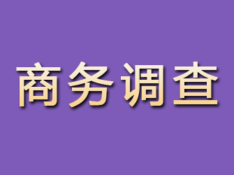 勐海商务调查